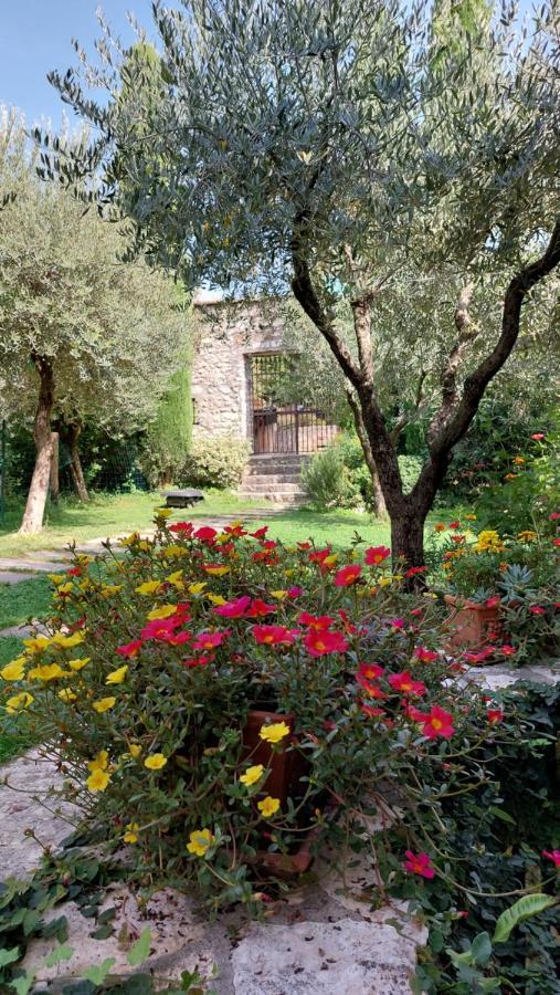 Azienda Agrituristica Corteforte Fumane Ngoại thất bức ảnh