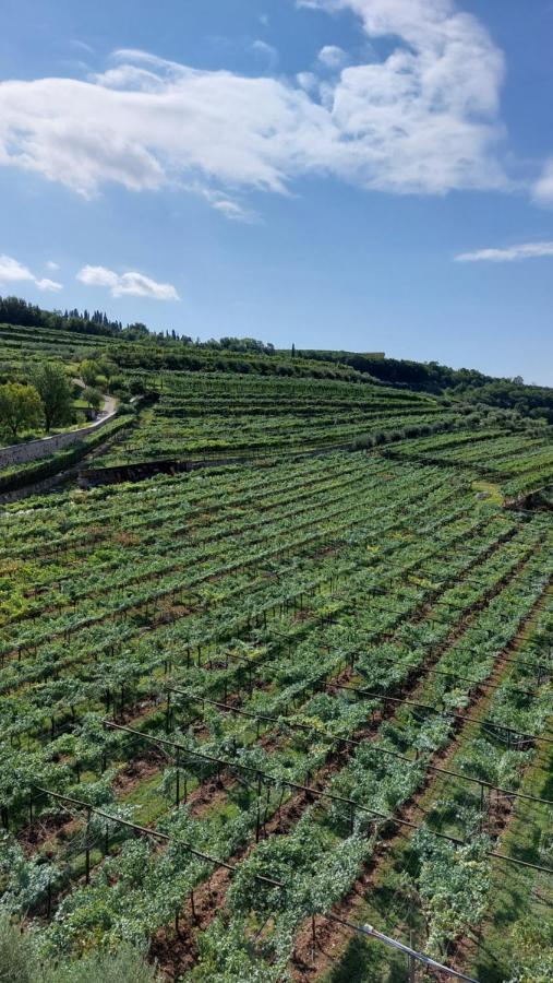 Azienda Agrituristica Corteforte Fumane Ngoại thất bức ảnh