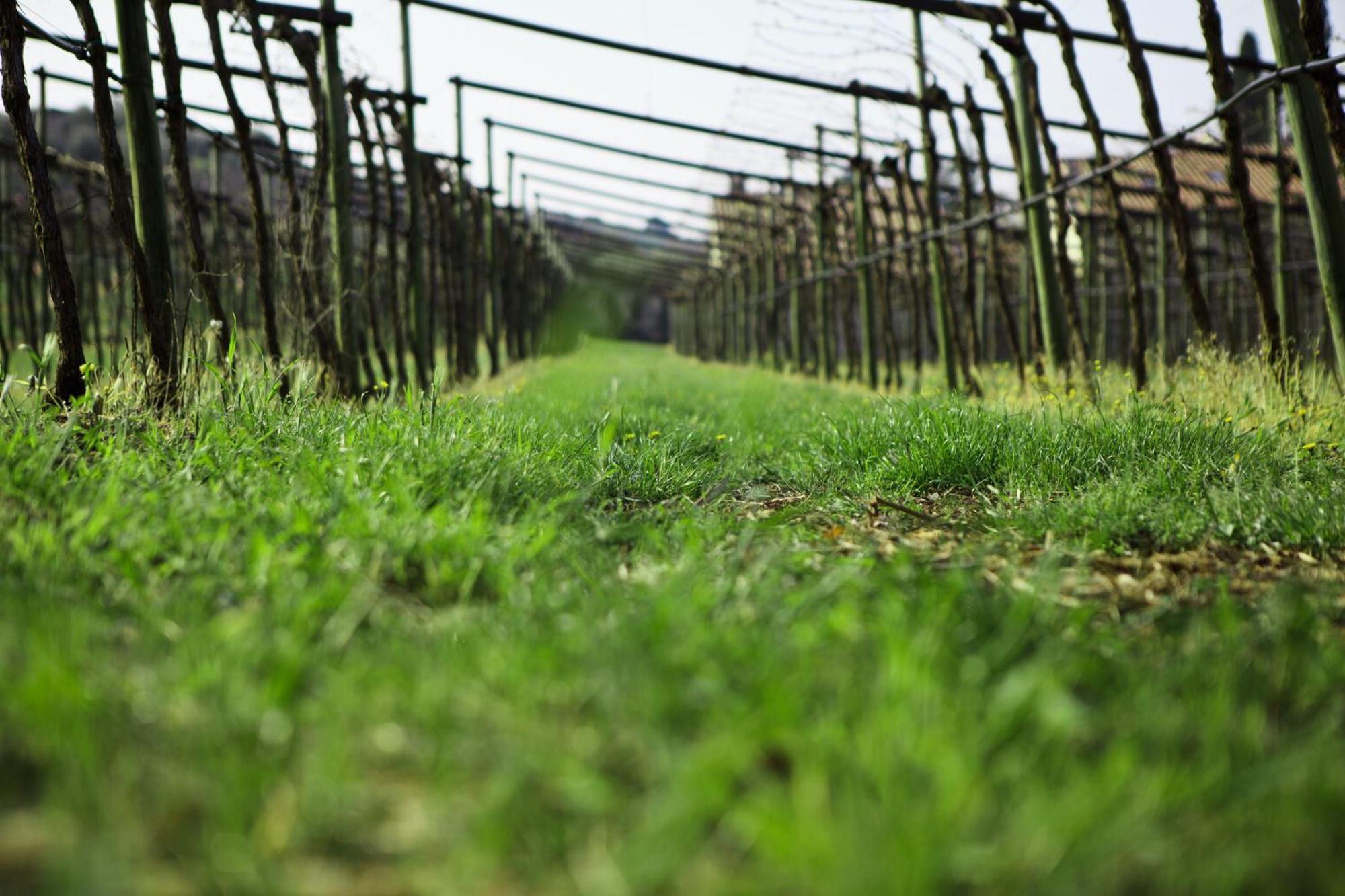 Azienda Agrituristica Corteforte Fumane Ngoại thất bức ảnh